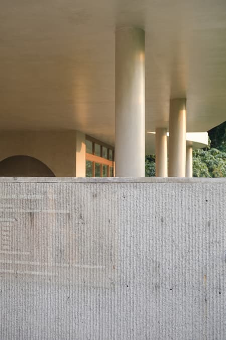 Buzzy Sunny· Feixue Pavilion